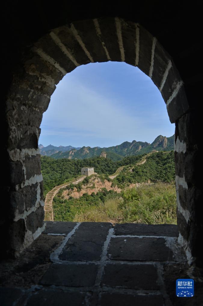 彩金网站去哪找